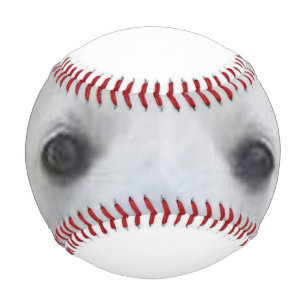 Augen des Amerikanischen Eskimo-Hundes Baseball