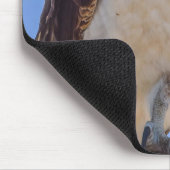 Augen des Fischadlers Mousepad (Ecke)