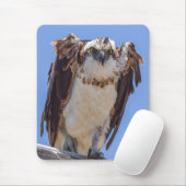 Augen des Fischadlers Mousepad (Mit Mouse)