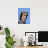 Augen des Fischadlers Poster (Heimbüro)