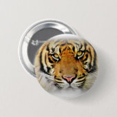 Augen des Tigers, Liebe_ Button (Vorne & Hinten)