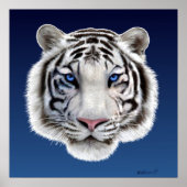 Augen des Tigers Poster (Vorne)