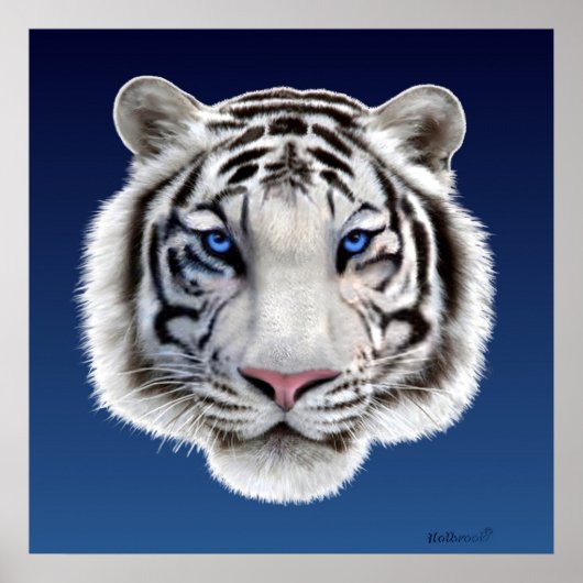 Augen des Tigers Poster (Vorne)