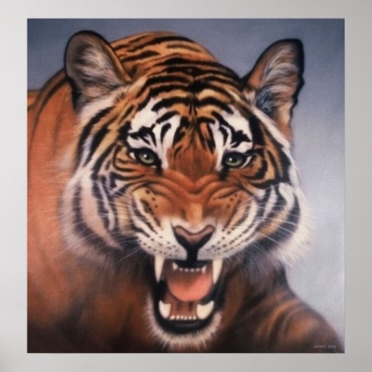 Augen des Tigers Poster (Vorne)
