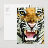 Augen des Tigers Postkarte (Vorne/Hinten)