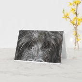 Augen, die hypnotisieren karte (Gelbe Blume)