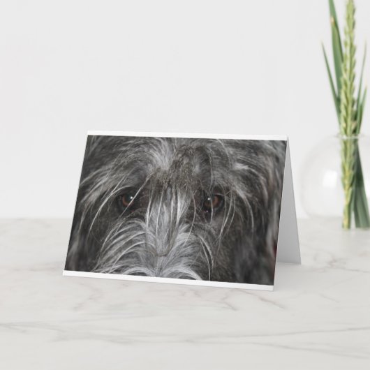 Augen, die hypnotisieren karte (Vorderseite)