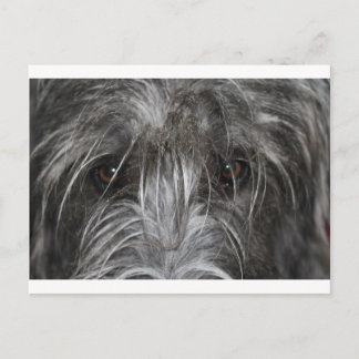 Augen, die hypnotisieren postkarte