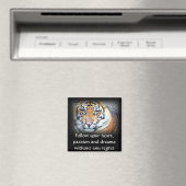 Augen, die sehen magnet (In Situ (Geschirrspüler))