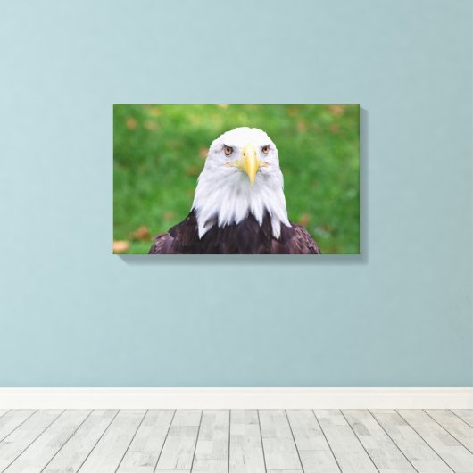 Augen eines Adlers Leinwanddruck (Insitu (Holzboden))