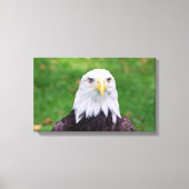 Augen eines Adlers Leinwanddruck (Vorderseite)