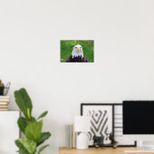 Augen eines Adlers Poster (Heimbüro)