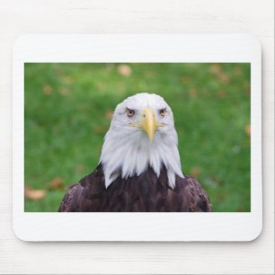 Augen eines Bald-Adlers Mousepad