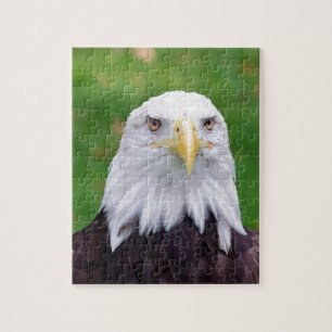 Augen eines Bald-Adlers Puzzle