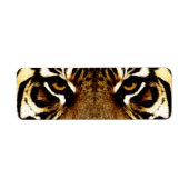 Augen eines Tigers (Vorne)