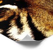 Augen eines Tigers Poster (Ecke)