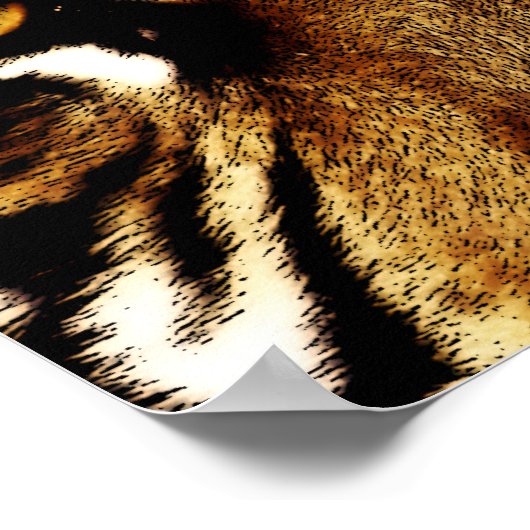 Augen eines Tigers Poster (Ecke)