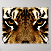 Augen eines Tigers Poster (Vorne)