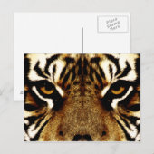 Augen eines Tigers Postkarte (Vorne/Hinten)