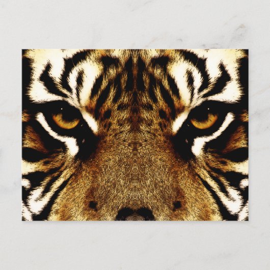 Augen eines Tigers Postkarte (Vorderseite)