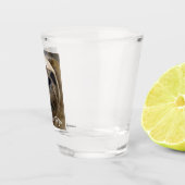 Augen für Sie Harbour Siegel Pup Schnapsglas (Rechts)