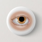Augen-Körperteilillustration Button (Vorderseite)