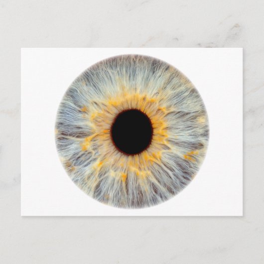 Augen-Postkarte Postkarte (Vorderseite)