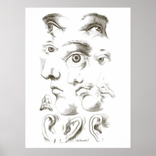 Augen, Profil, zeichnend Ohren, 17. Jahrhundert, V Poster