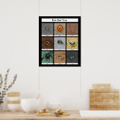 Augen sehen Sie Tierpuppe, Tieraugen Poster (Küche)