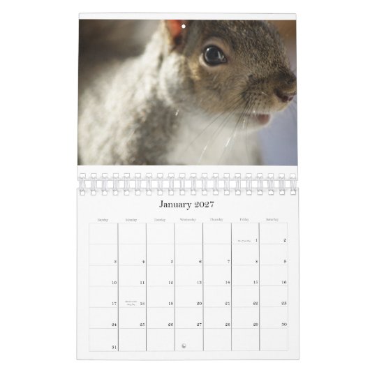 Augen-Spions-Foto-Kalender Kalender (Jan 2027)