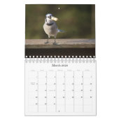 Augen-Spions-Foto-Kalender Kalender (Mär 2026)