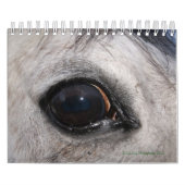Augen-Spions-Foto-Kalender Kalender (Titelbild)