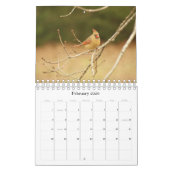 Augen-Spions-Foto-Kalender Kalender (Feb 2026)