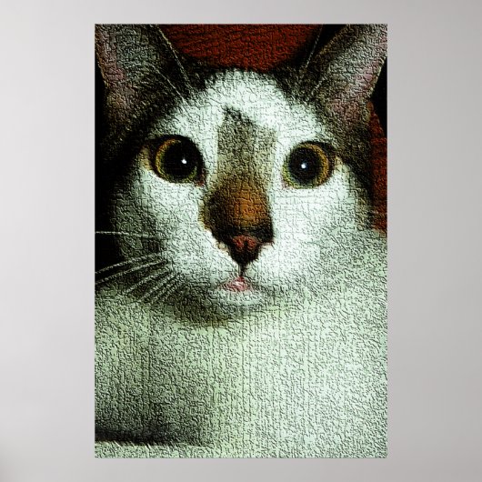 Augen von Bud Poster (Vorne)