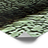 Augen von Bud Poster (Ecke)