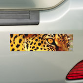 Augen von Leopard Autoaufkleber (Auf Auto)