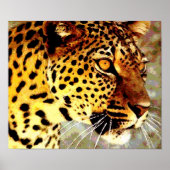 Augen von Leopard Poster Print (Vorne)
