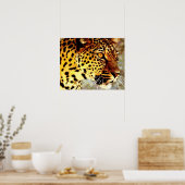 Augen von Leopard Poster Print (Küche)