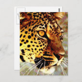Augen von Leopard Postkarte (Vorne/Hinten)
