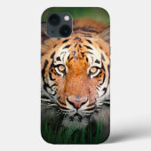 Augen von Tiger Case-Mate iPhone Hülle (Rückseite)