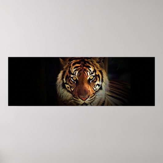 Augen von Tiger in Schattentüren Poster drucken (Vorne)