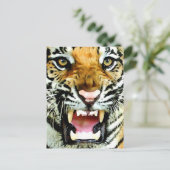 Augen von Tiger Postkarte (Stehend Vorderseite)