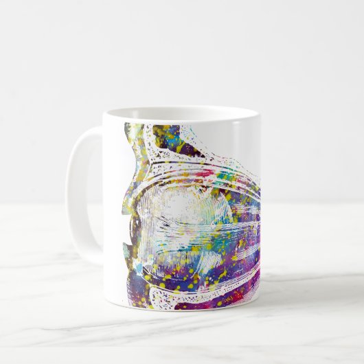 Augenanatomie Kaffeetasse (Vorderseite Links)