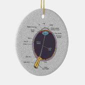 Augenanatomie Keramik Ornament (Rechts)