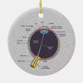 Augenanatomie Keramik Ornament (Hinten)