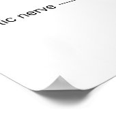 Augenanatomie-Poster Poster (Ecke)