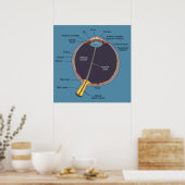 Augenanatomie-Poster Poster (Küche)