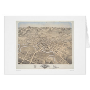 Augenansicht des Vogels der Stadt von Petaluma