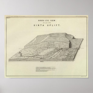 Augenansicht des Vogels eines Teils der Uinta Poster