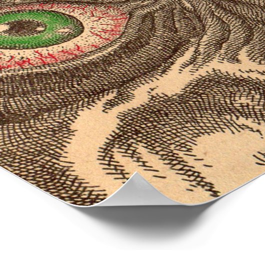 Augenausdruck Poster (Ecke)